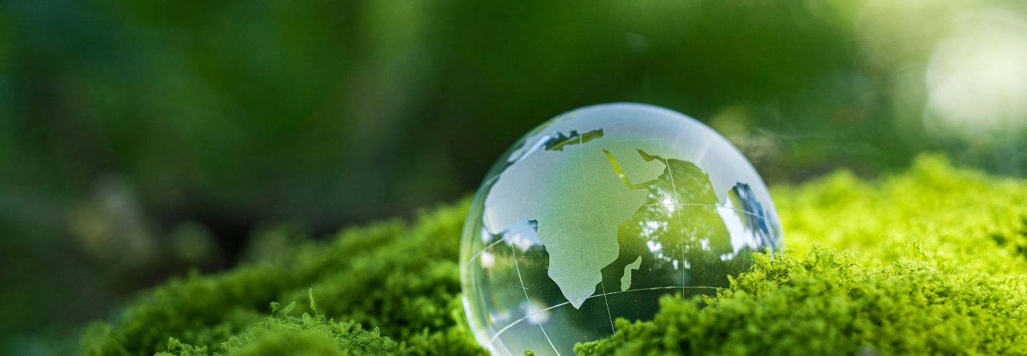 earth day image of globe on moss