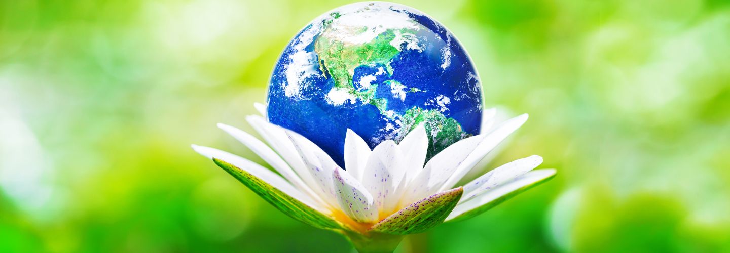 earth photo