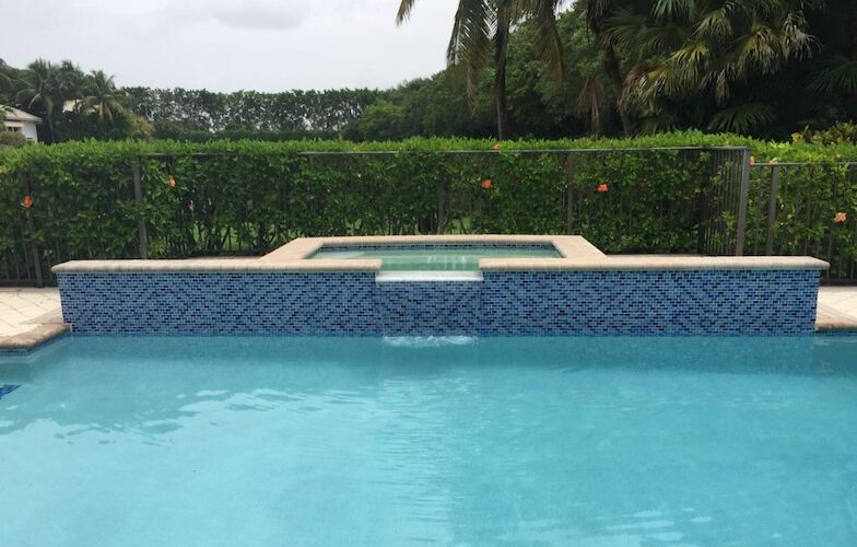 さ*く様 AQUAZONE classic PERFECT Aqua Zone Xbox360 Aquazone Japanese Ver | eBay