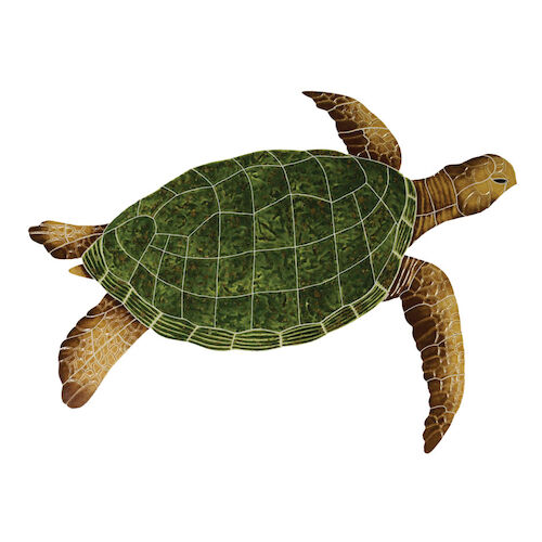 3240 Turtle with Attitude on Back 6 3-4