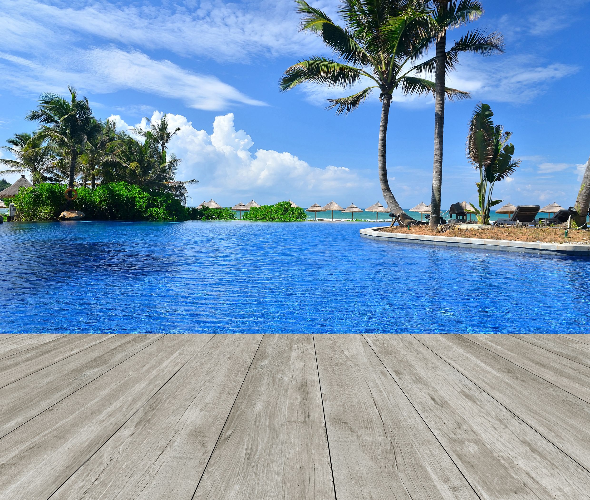 yococcoさま専用　アフロディアナ①SE-1 ②CR-2 各2の4本セット アフロディアナ SE-1 CR-2 各2本セット - メルカリ