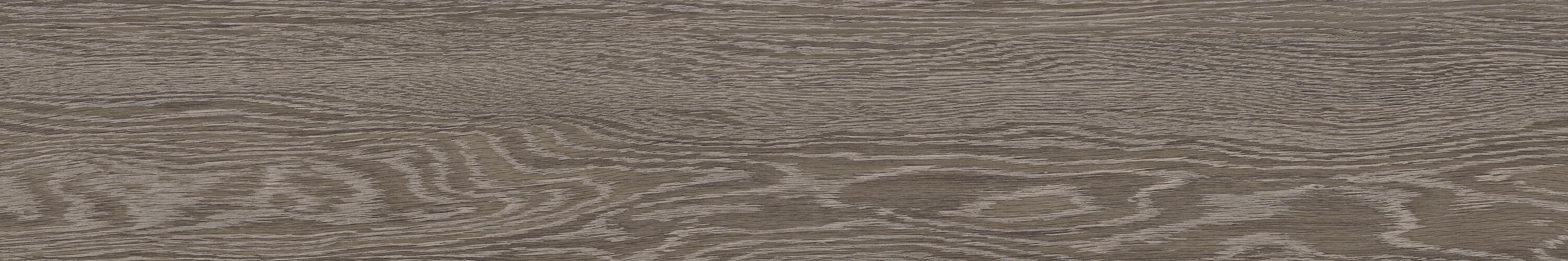 SEQUOIA swatch