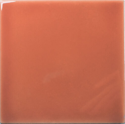 CORAL swatch